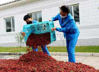 2-《황금산타령》을 부르며